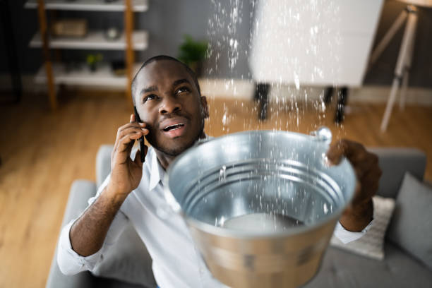 Best Flood damage cleanup  in Fort Drum, NY
