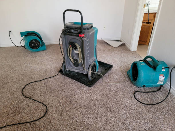 Sewage cleanup and water damage restoration in Fort Drum, NY