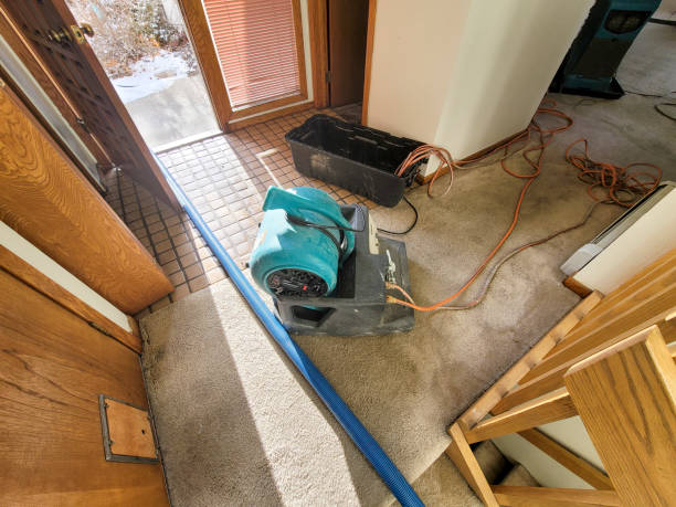 Best Sewage cleanup and water damage restoration  in Fort Drum, NY