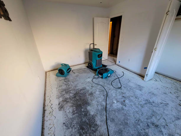 Best Sewage cleanup and water damage restoration  in Fort Drum, NY