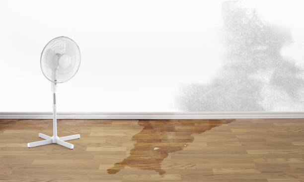 Best Professional water damage repair  in Fort Drum, NY