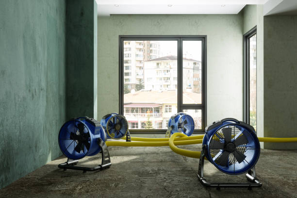 Best Water damage cleanup near me  in Fort Drum, NY